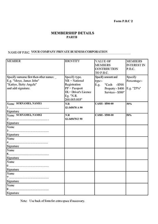 sample company registration papers
